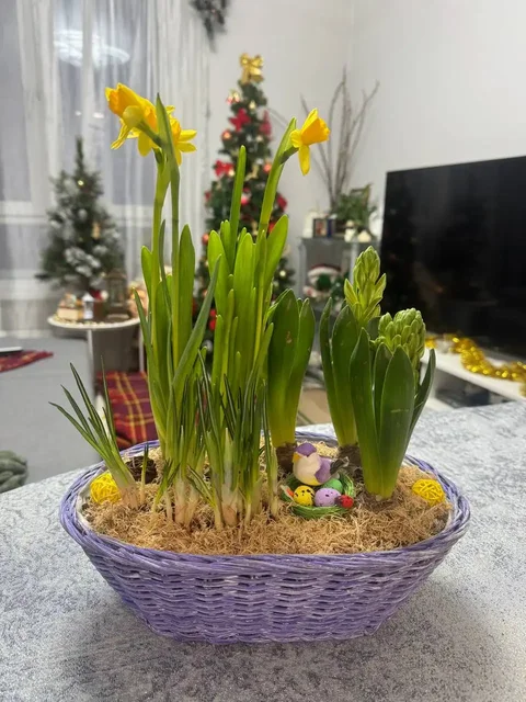 Композиция из свежесобранных луковичных цветов - Хобби и отдых в Химки