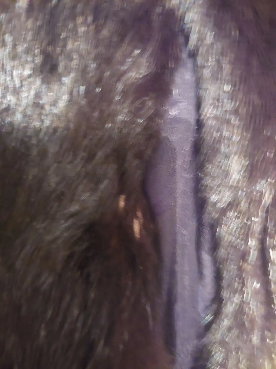 Одежда 44-46 размер - Женская одежда (Одежда) в Химки