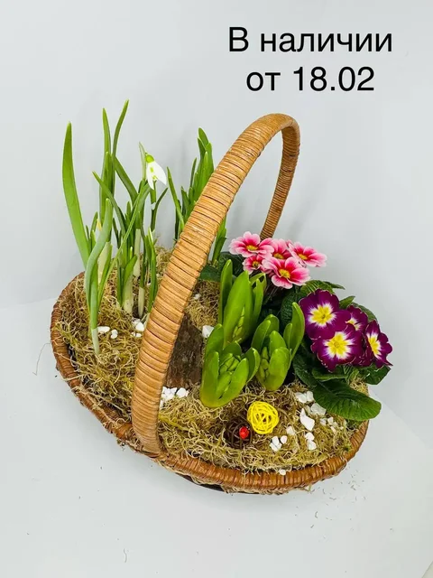 Композиция из луковичных и первоцветов - частное объявление в Химки