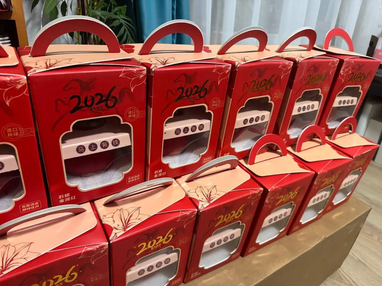 Амариллисы в воске для 8 марта - Растения (Хобби и отдых) в Химки