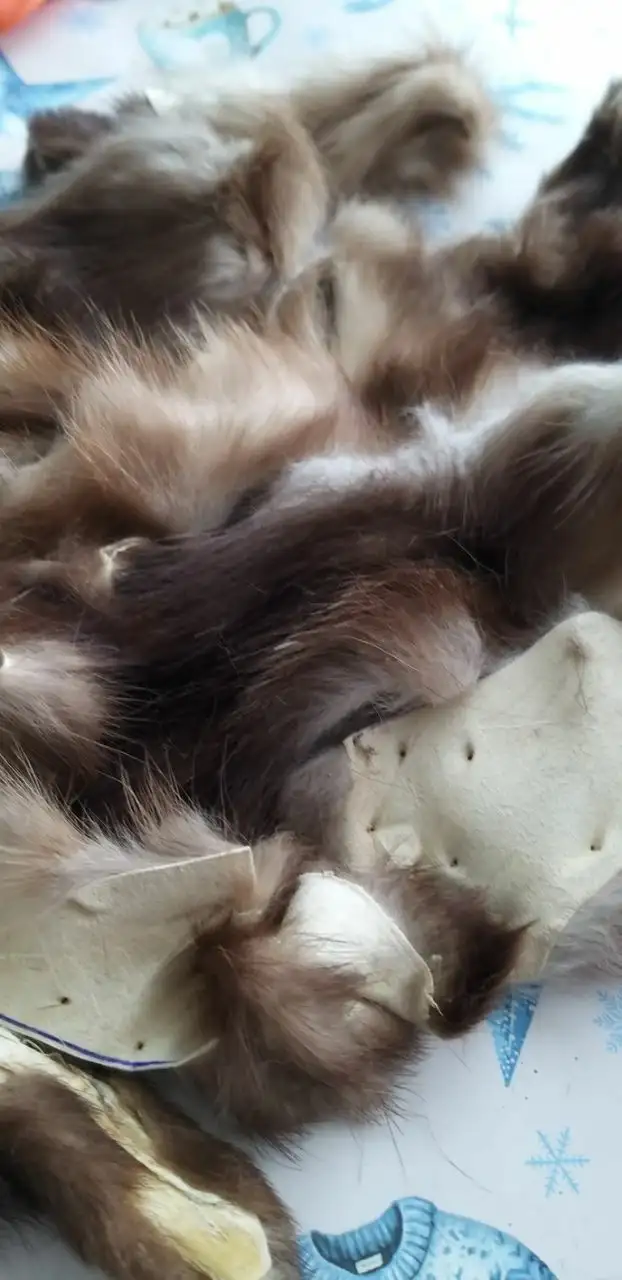 Пакетик с кусочками натурального меха для рукоделия - Рукоделие и творчество (Барахолка) в Митино