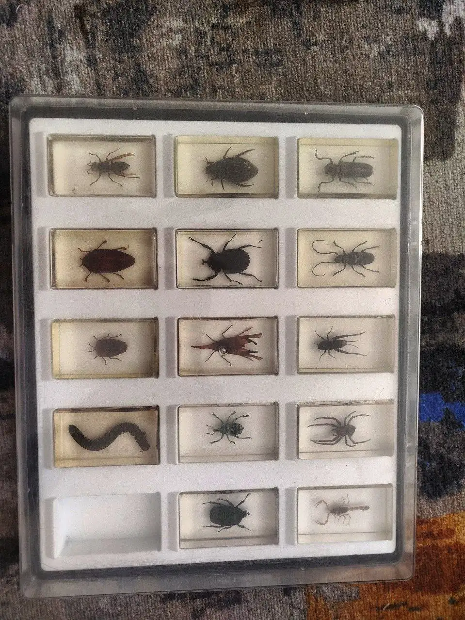 Набор жуков в эпоксидной смоле - Коллекционирование (Хобби и отдых) в Химки