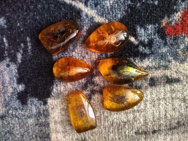 Набор жуков в эпоксидной смоле из 6 штук - Коллекционирование в Химки