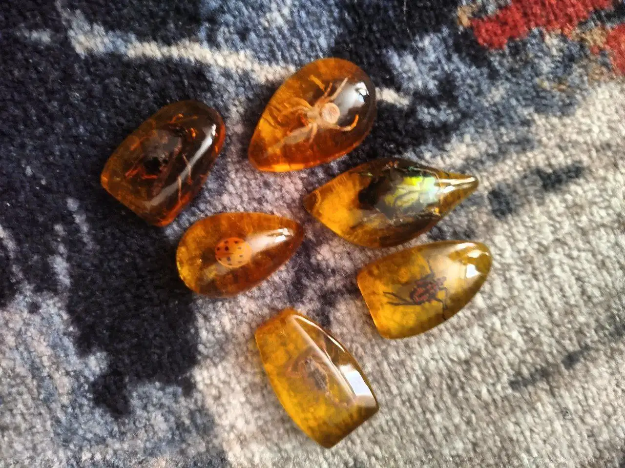 Набор жуков в эпоксидной смоле из 6 штук - Коллекционирование (Хобби и отдых) в Химки