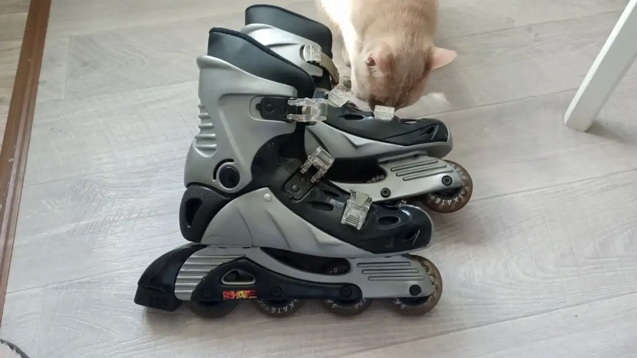 Продам 1т 41 размер в отличном состоянии - Верхняя одежда (Одежда) в Химки