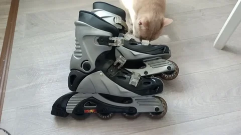 Продам 1т 41 размер в отличном состоянии - Штаны/Брюки в Химки