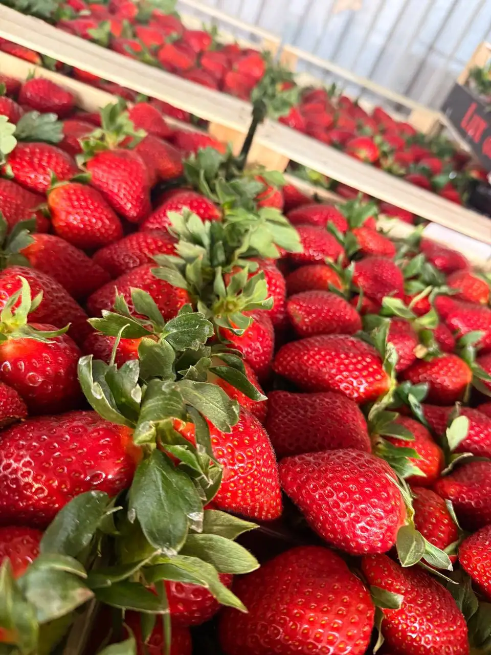 Продукты питания с доставкой по Москве и области - Барахолка в Москва