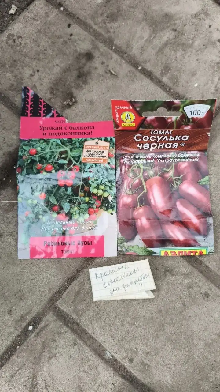 Продам рассаду помидор - Саженцы (Для дома и дачи) в Химки