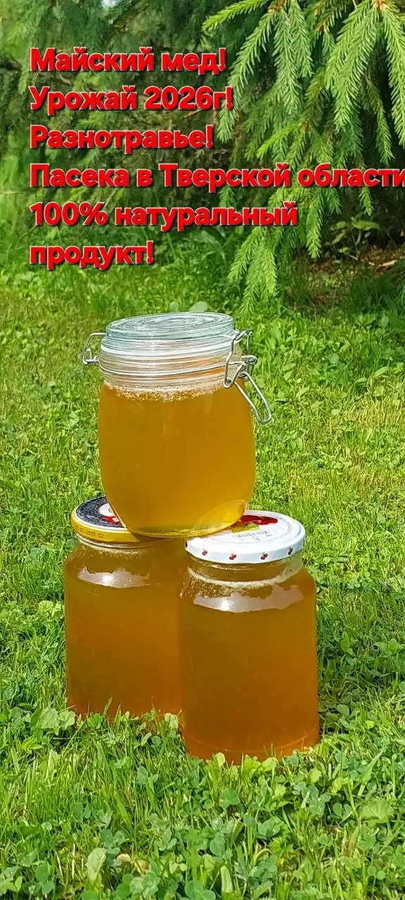 Мед майский - Продукты (Для дома и дачи) в Химки
