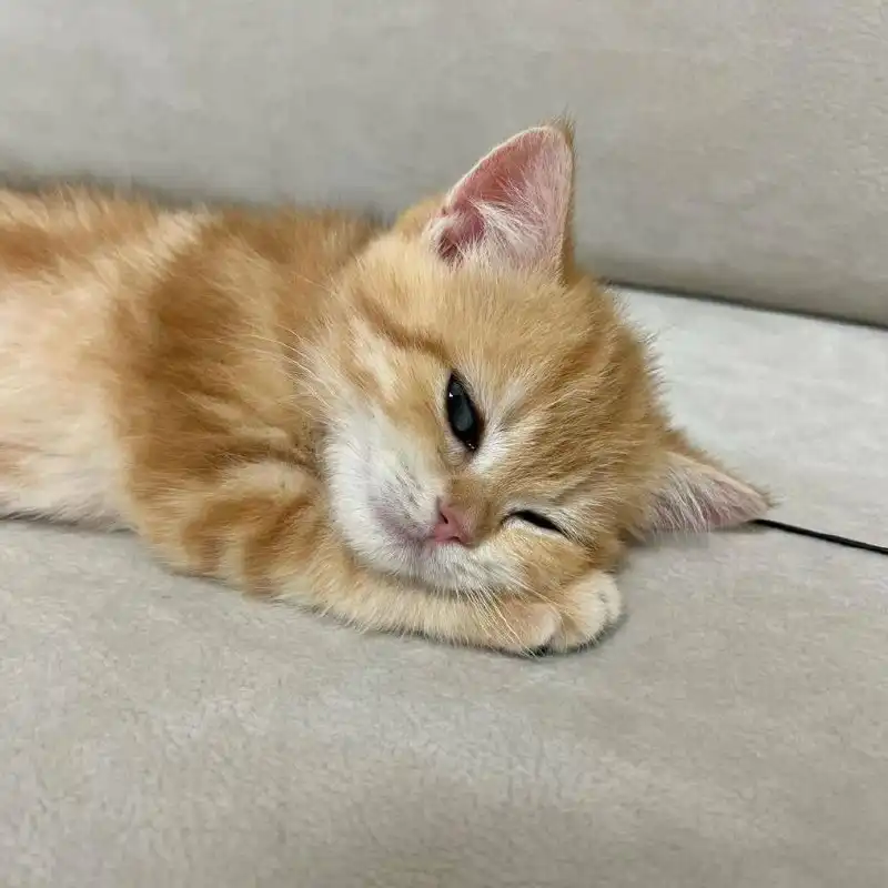 Прогноз погоды и праздники в Архангельске