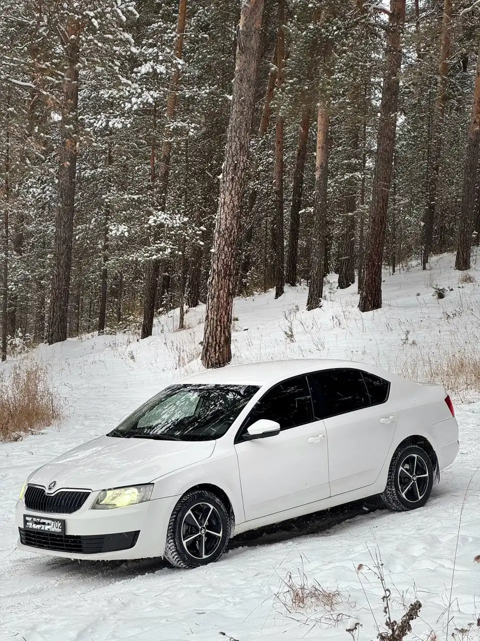 Продам Skoda Octavia 2013 года в Белорецке - Авто в Белорецк
