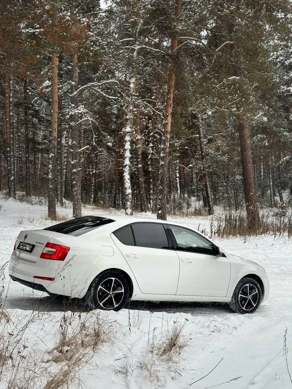 Продам Skoda Octavia 2013 года в Белорецке - Авто в Белорецк