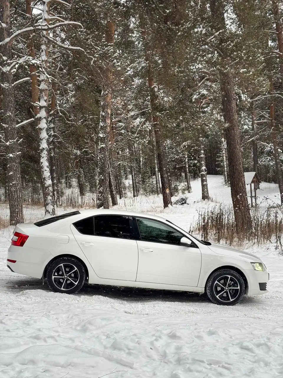 Продам Skoda Octavia 2013 года в Белорецке - Авто в Белорецк