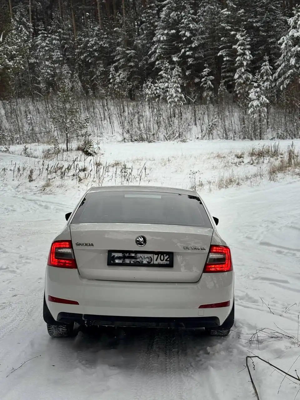 Продам Skoda Octavia 2013 года в Белорецке - Авто в Белорецк
