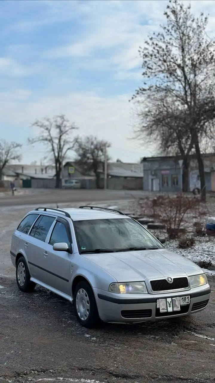 Skoda Octavia 2003 2.0 Family Edition универсал - Авто в Макеевка