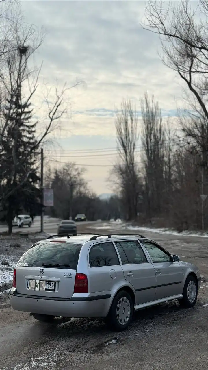 Skoda Octavia 2003 2.0 Family Edition универсал - Авто в Макеевка