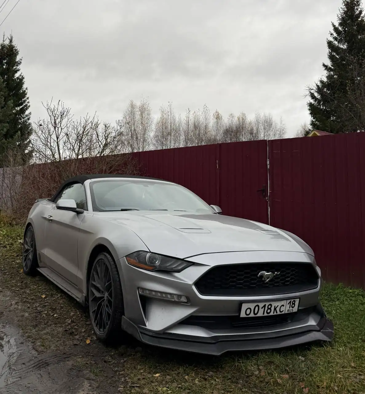Продажа Ford Mustang 2.3 2019 года - Легковые автомобили (Авто) в Москва
