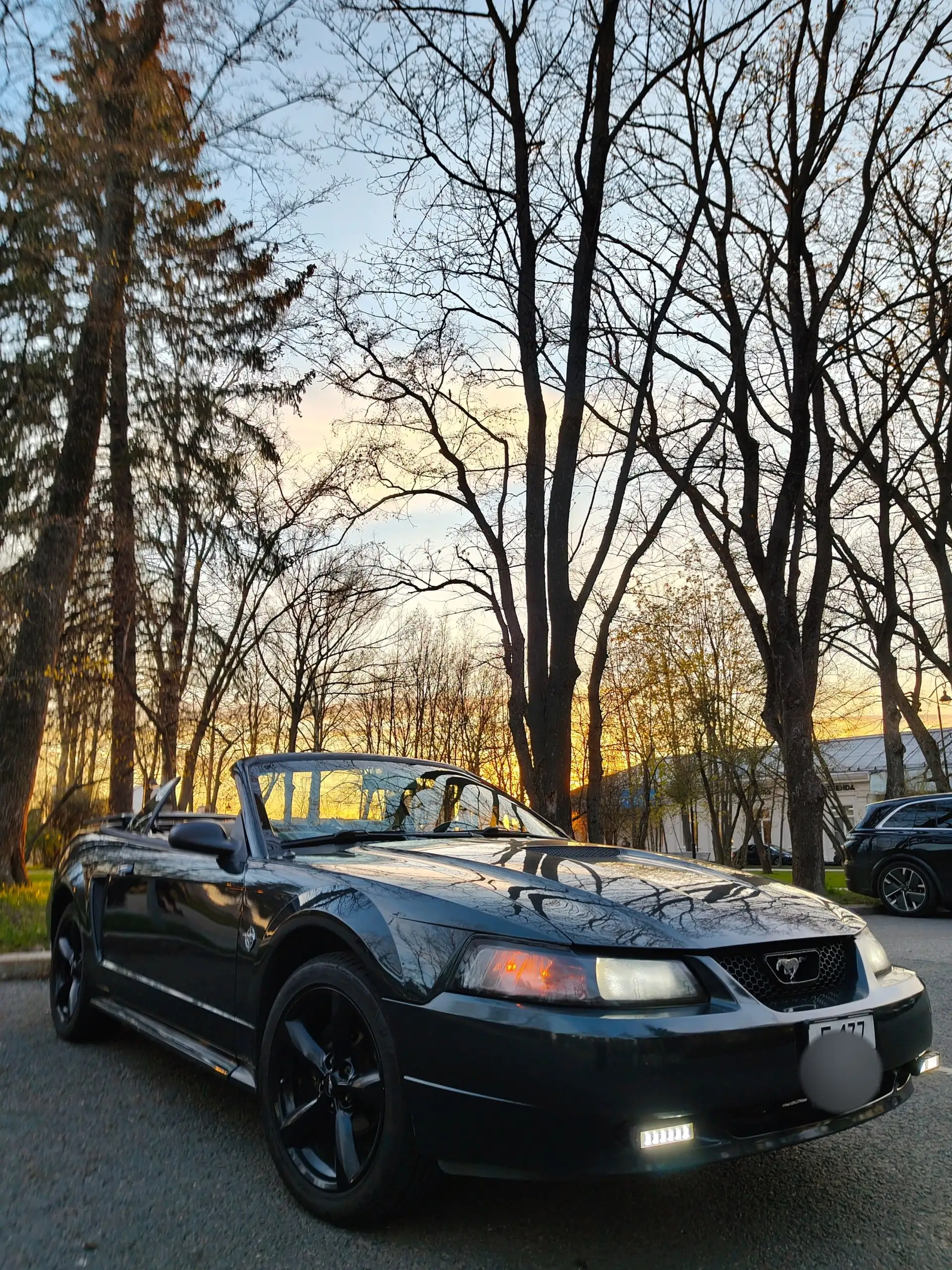 Ford Mustang IV Convertible 1999 - Легковые автомобили (Авто) в Москва