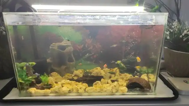 Продам аквариум на 60 литров - Аквариумы (Барахолка) в Ижевск