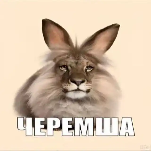 Куплю е100 Дрипку Rdt