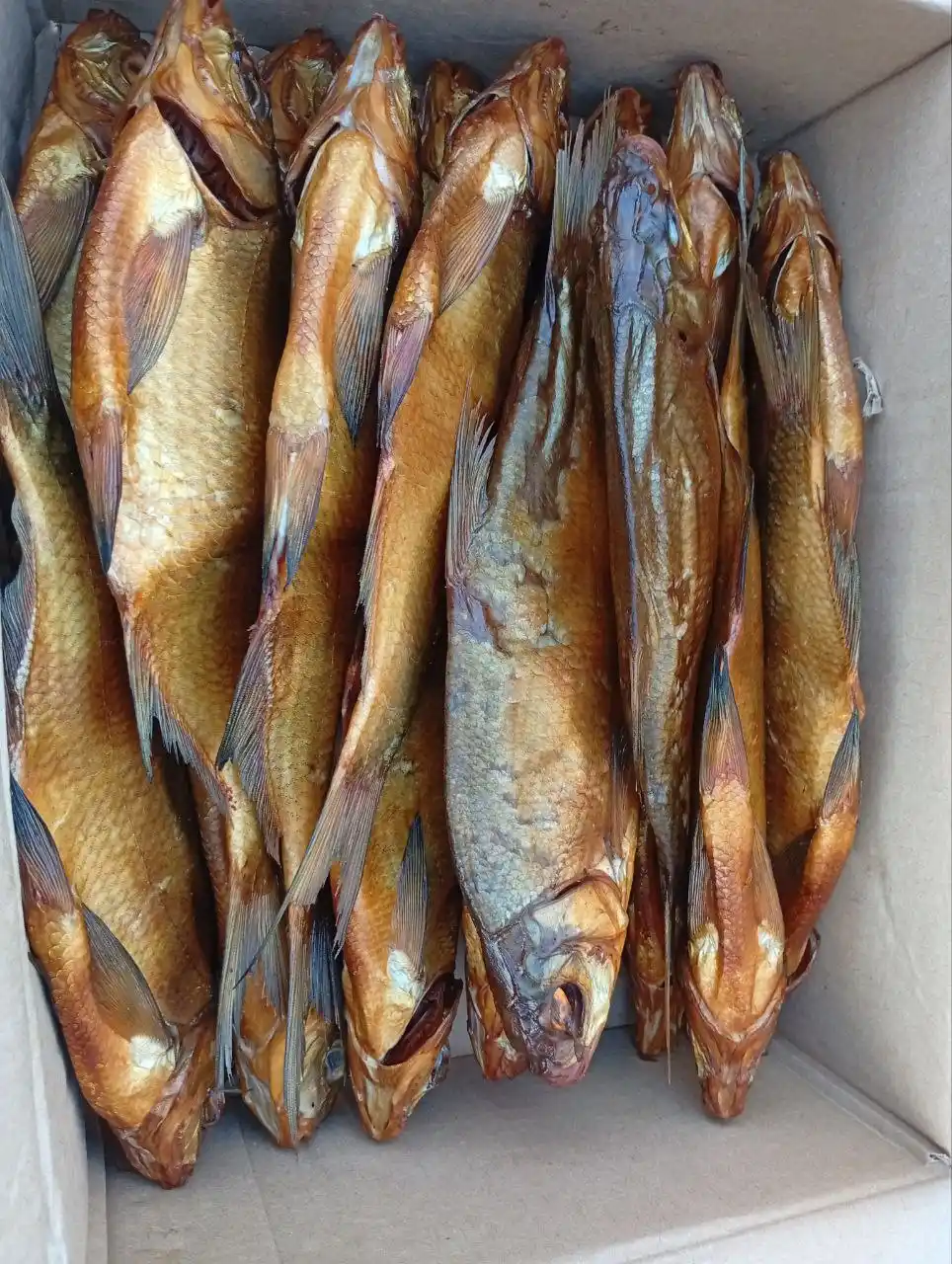 Свежая партия рыбы