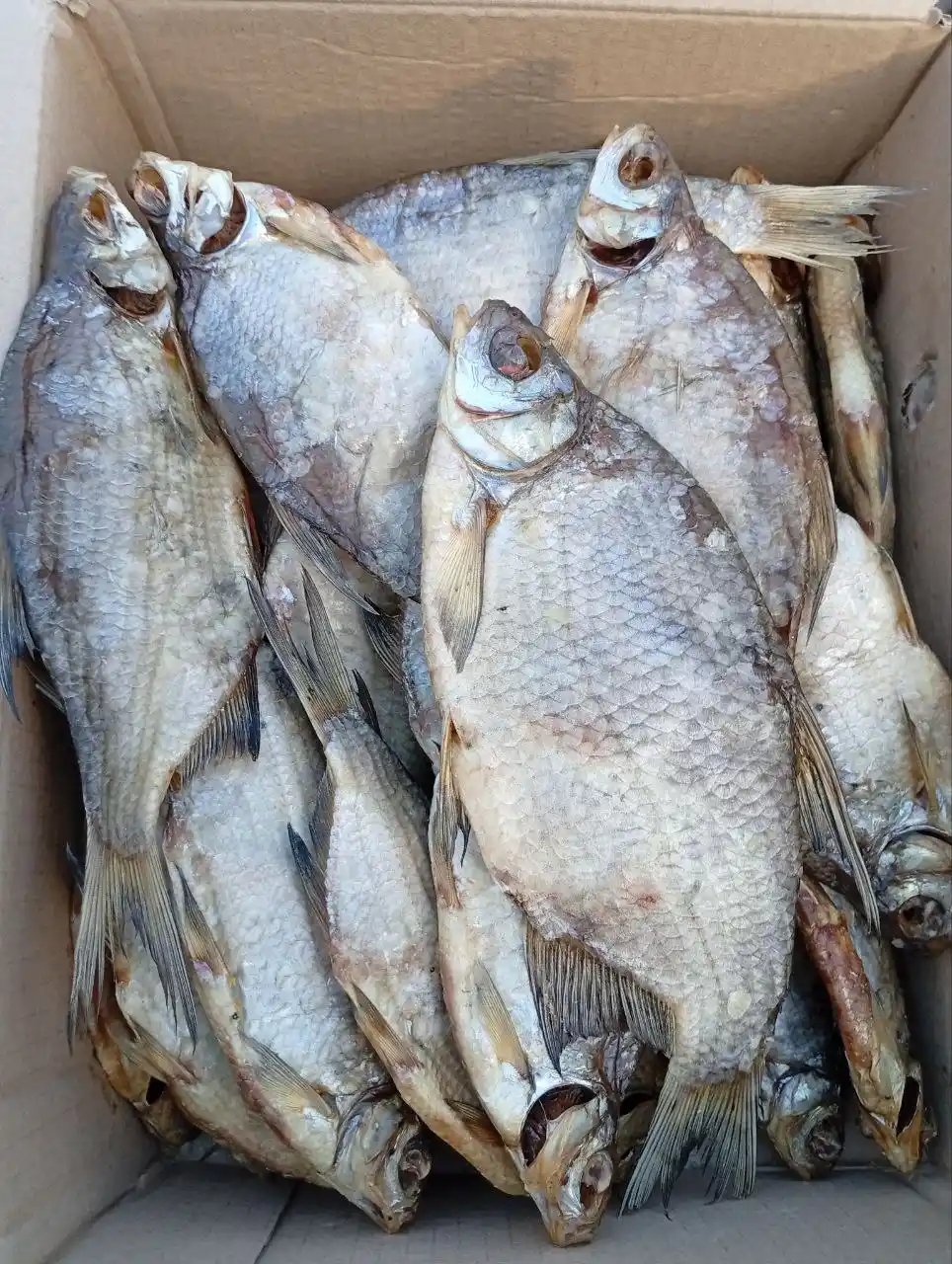 Свежая партия рыбы