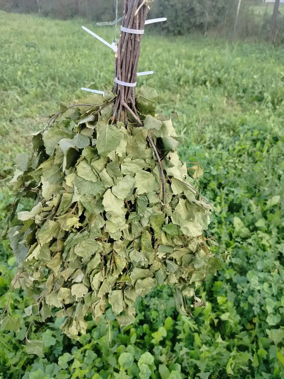 Березовые веники в Казани