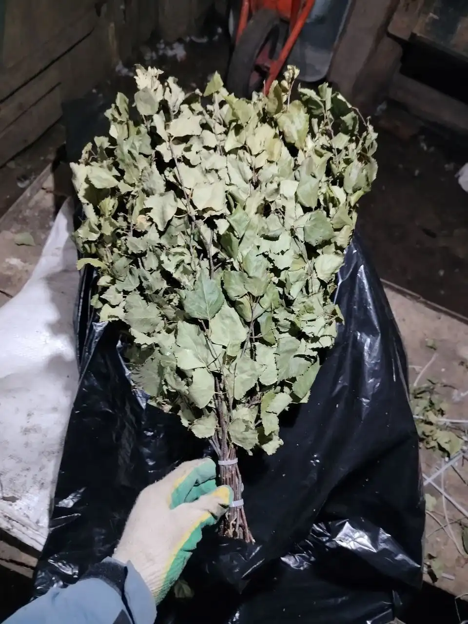 Березовые веники в продаже