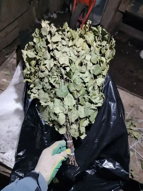 Березовые веники в продаже - Хобби и отдых в Казань