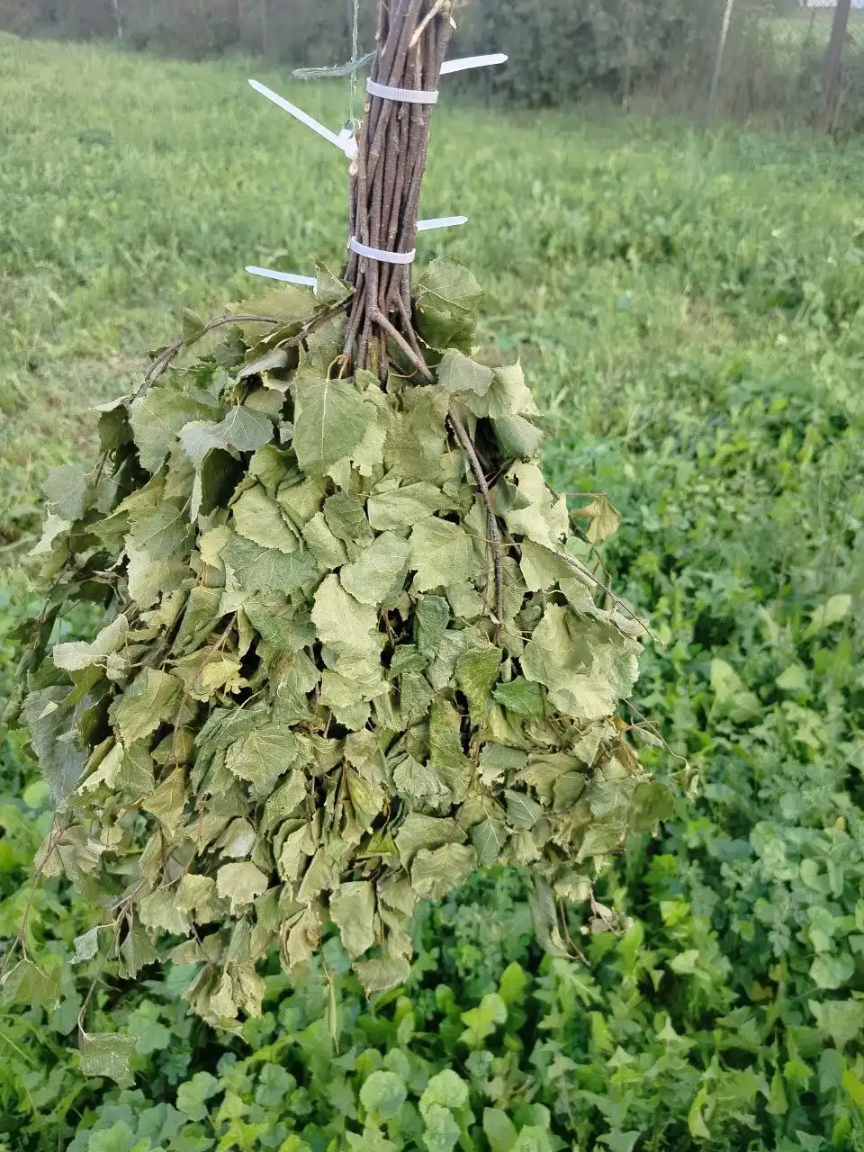 Березовые веники в продаже