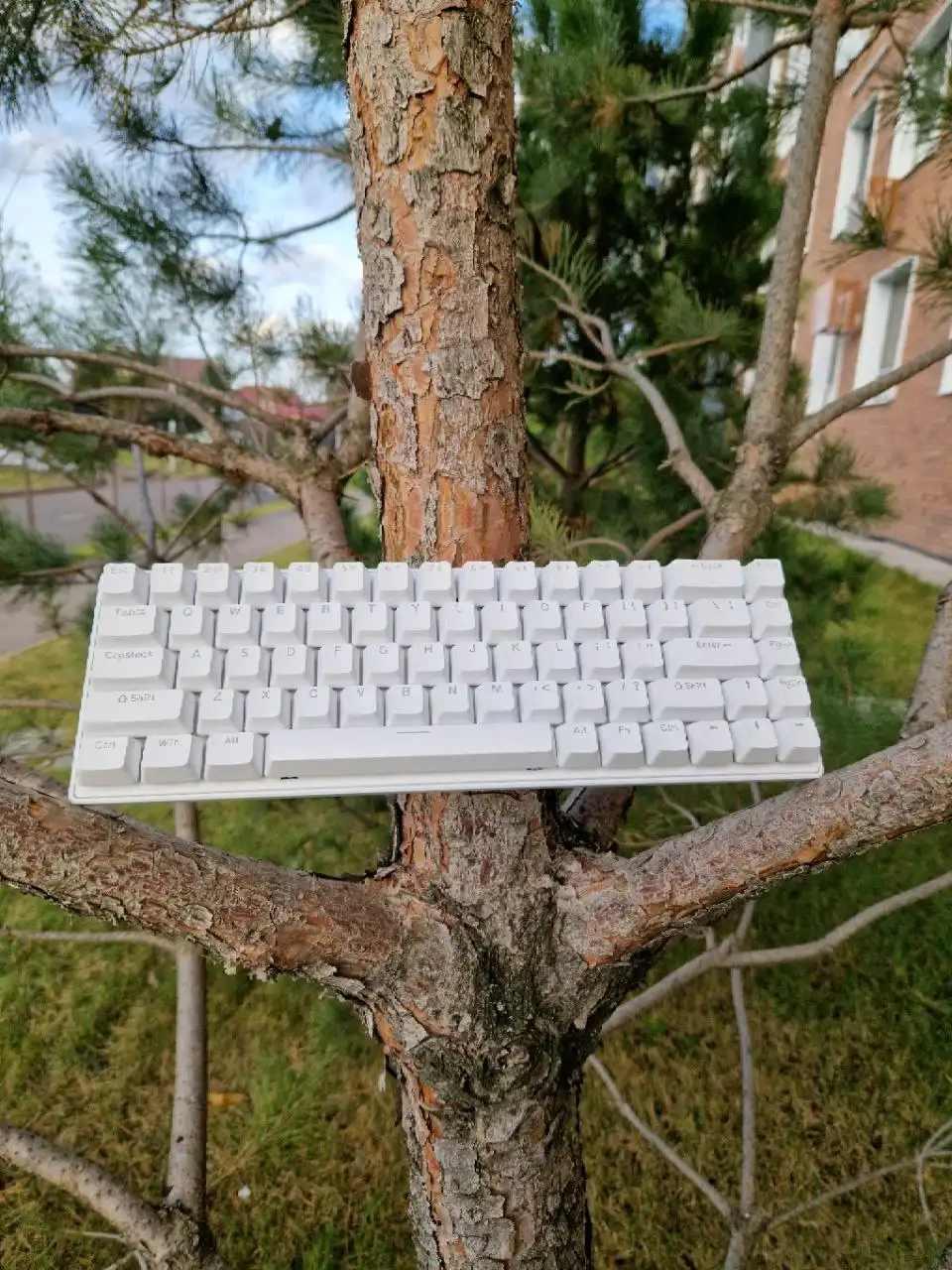 Коврик и клавиатура