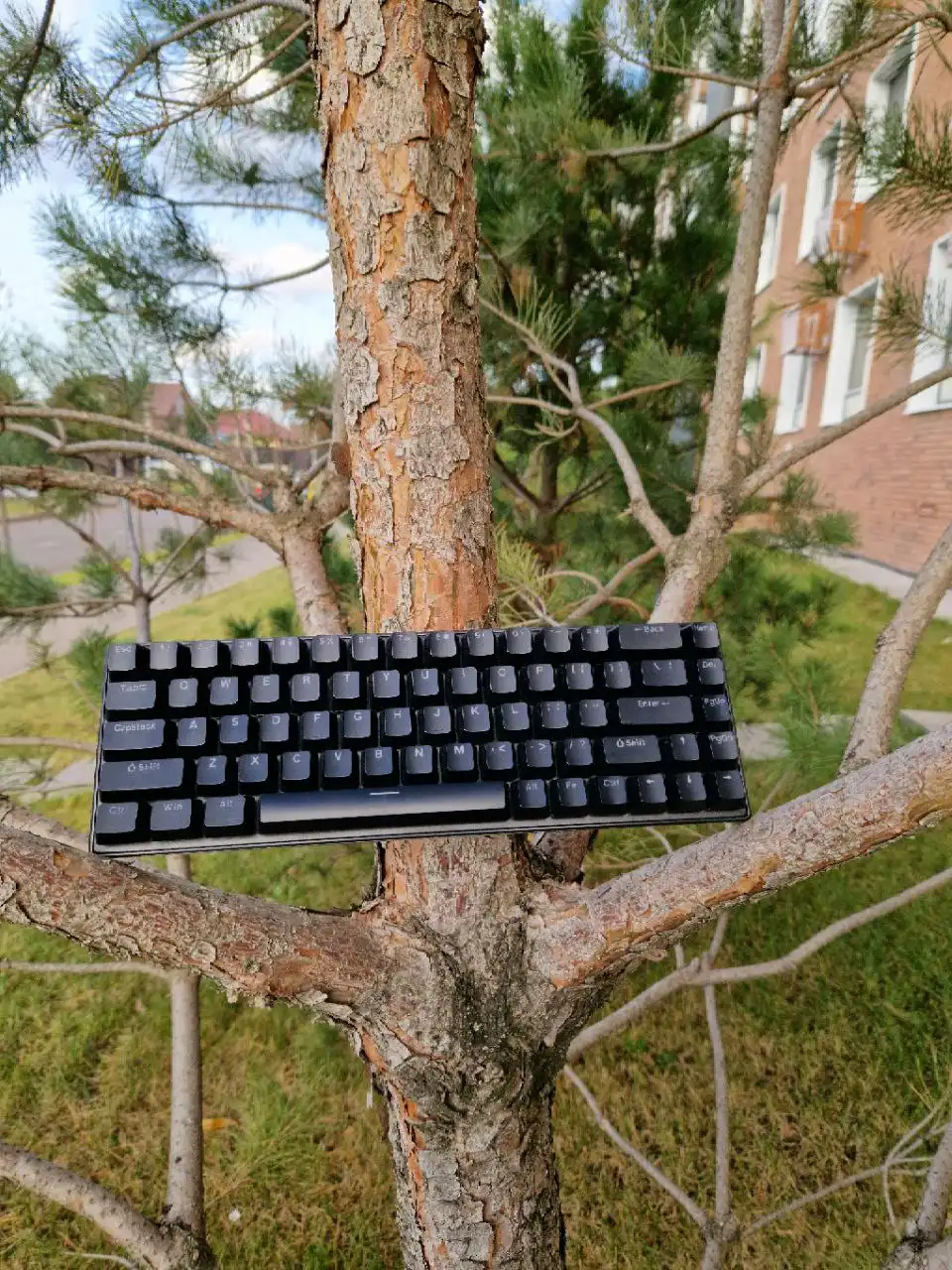 Коврик и клавиатура