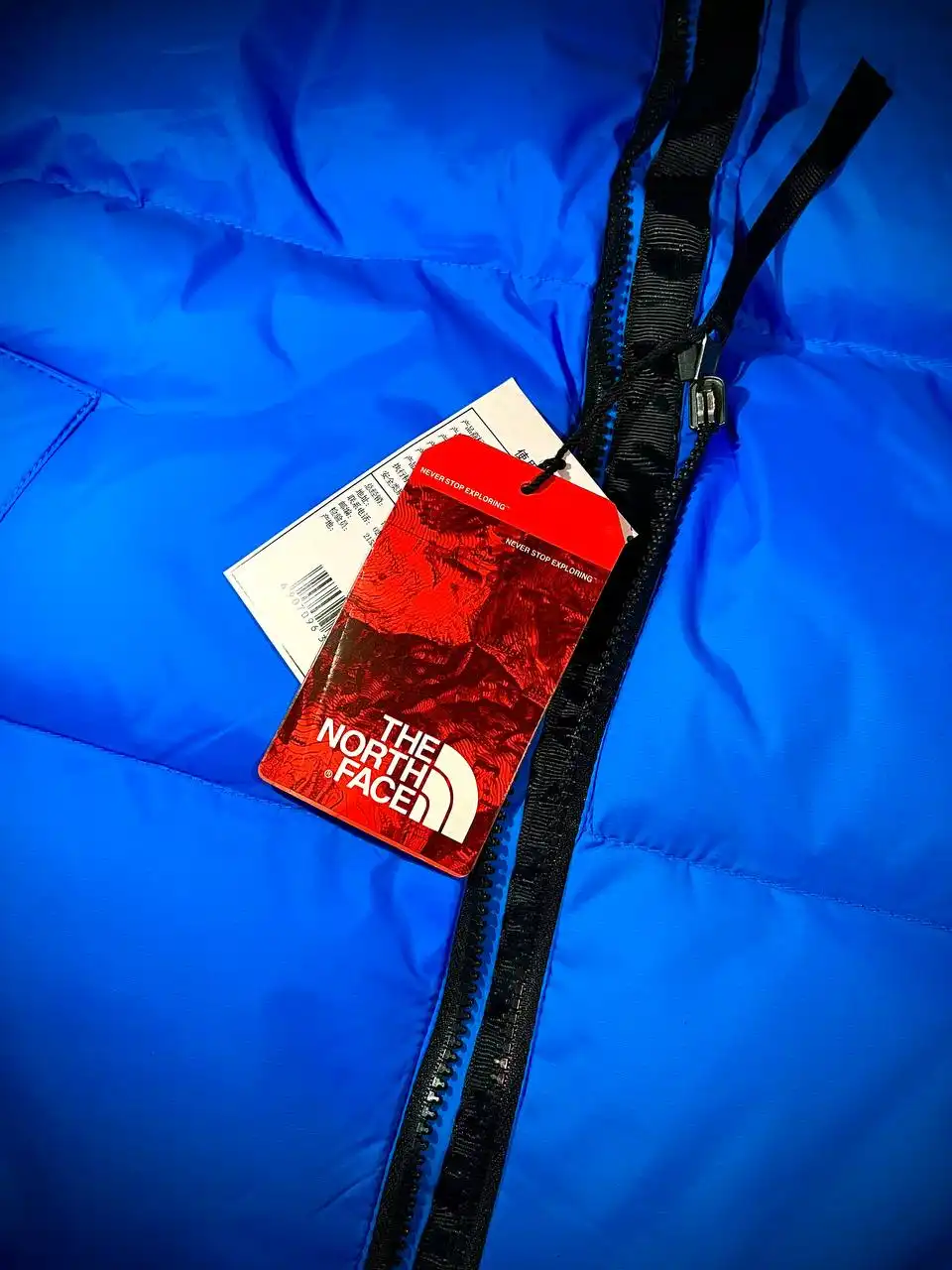Сочные яркие жилетки The North Face синего и оранжевого цвета - Верхняя одежда (Одежда) в Казань