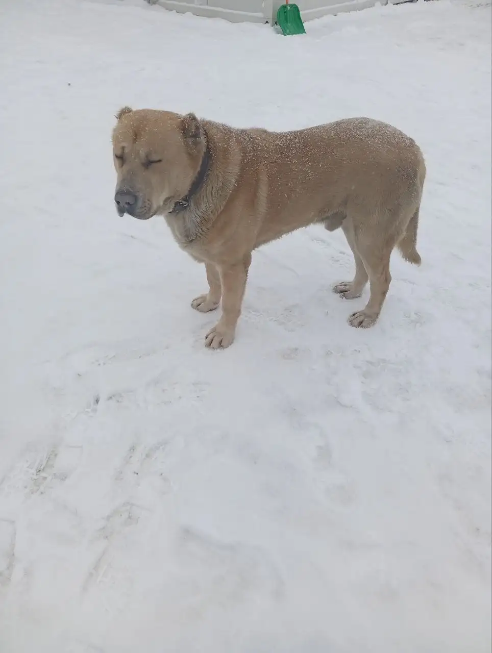 Продажа детской одежды - Одежда для детей (Товары для детей) в Казань