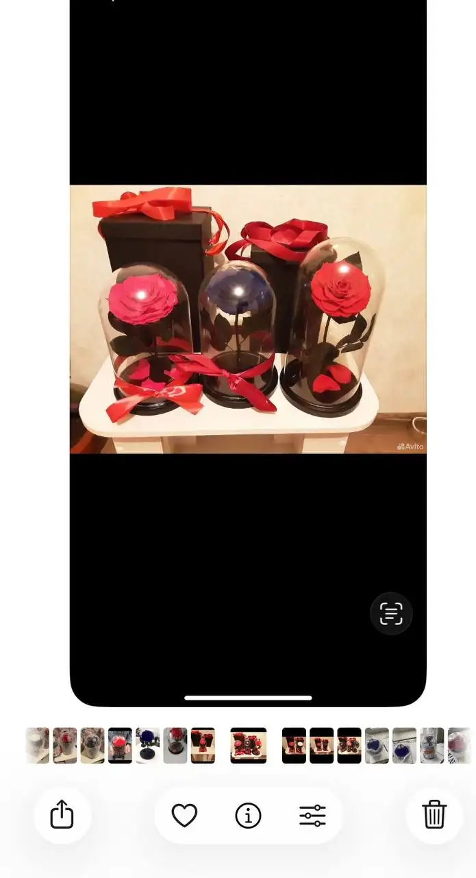 Стабилизированные розы на 8 марта - Цветы (Хобби и отдых) в Казань