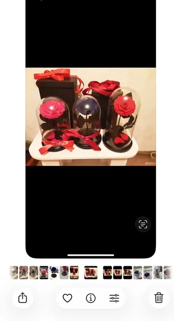 Стабилизированные розы на 8 марта - Билеты на спорт в Казань