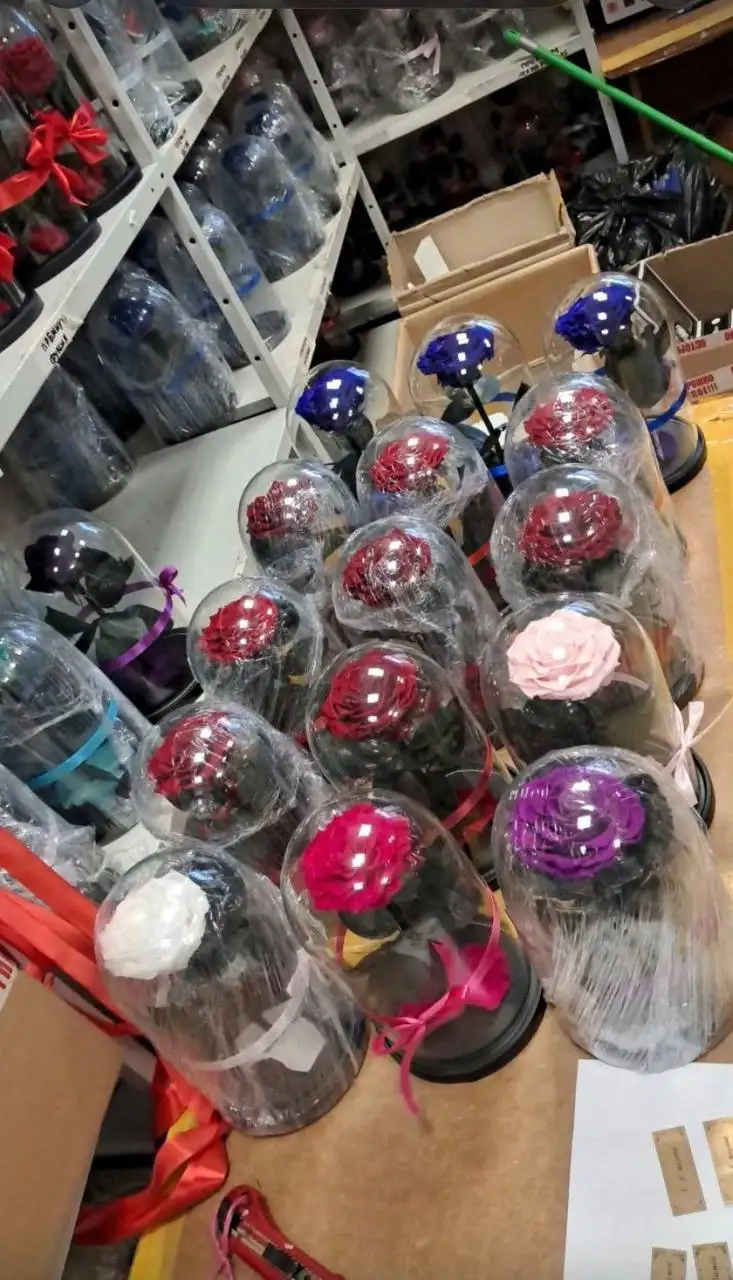 Стабилизированные розы на 8 марта - Цветы (Хобби и отдых) в Казань