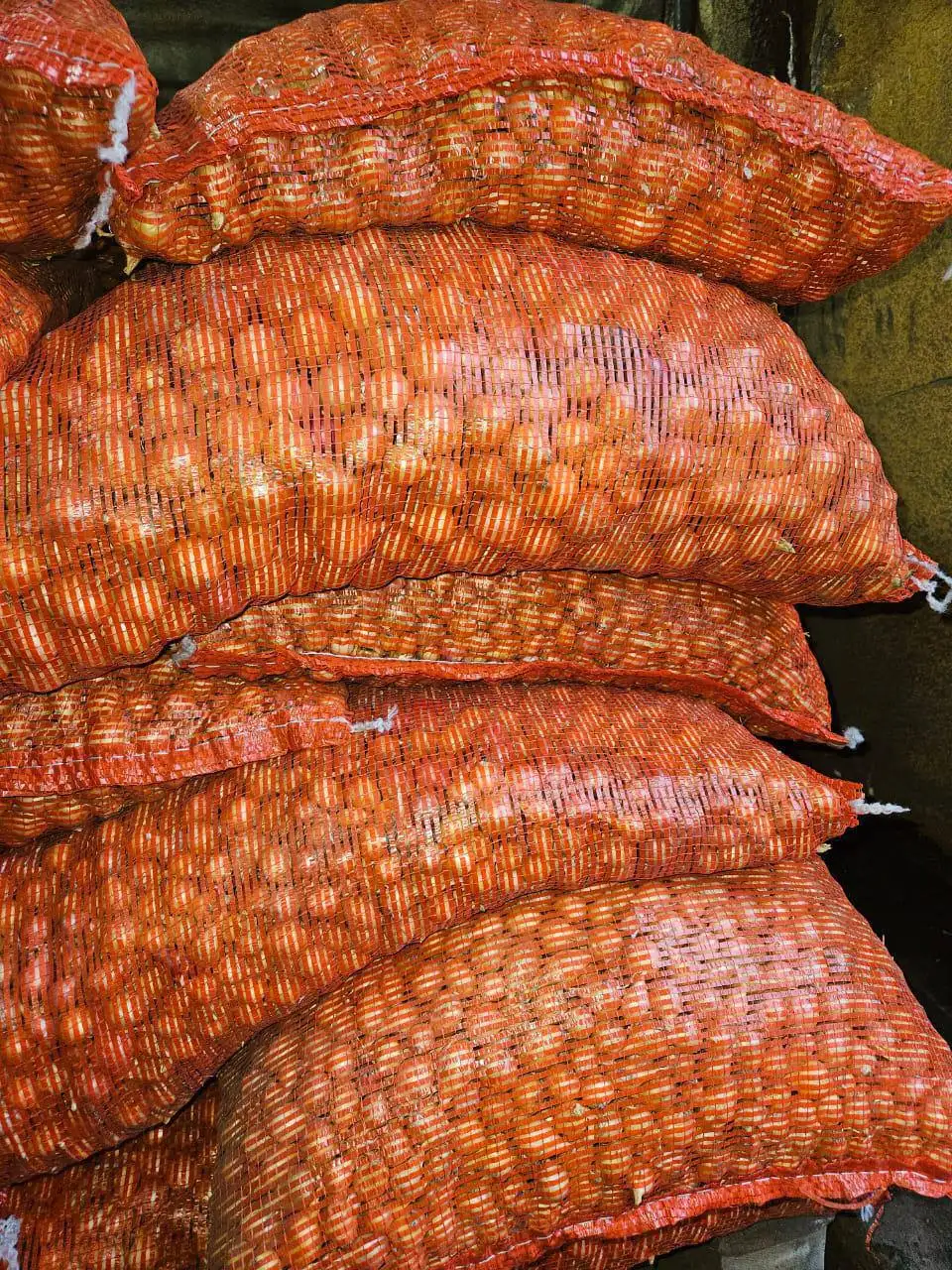 Продажа лука-севка от производителя - Продукты питания (Барахолка) в Казань