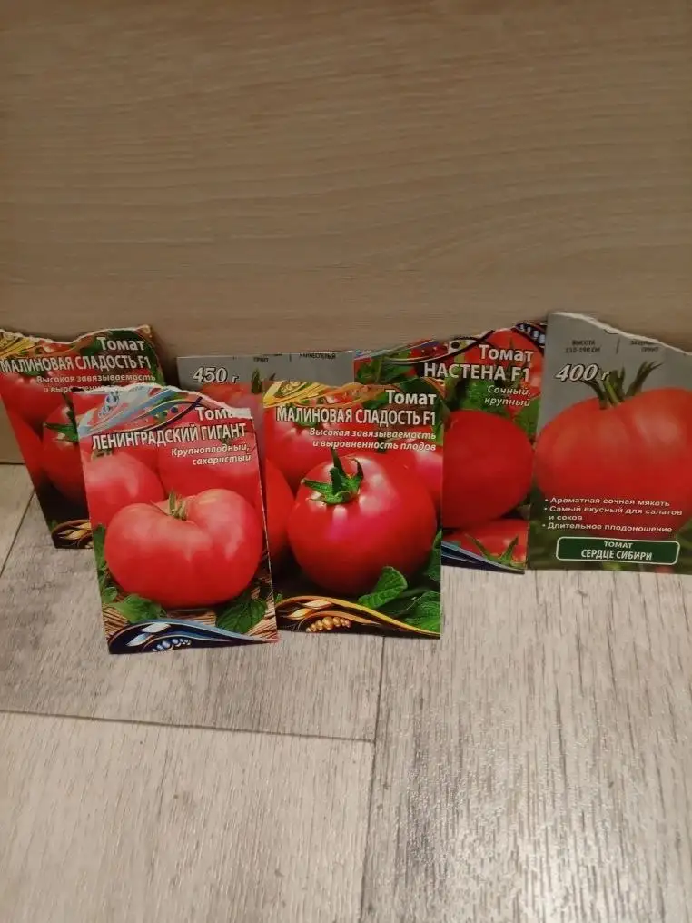 Рассада помидор - Садоводство (Хобби и отдых) в Казань