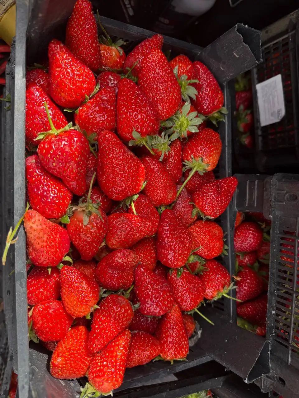 Доставка клубники 2кг - Для дома и дачи в Казань