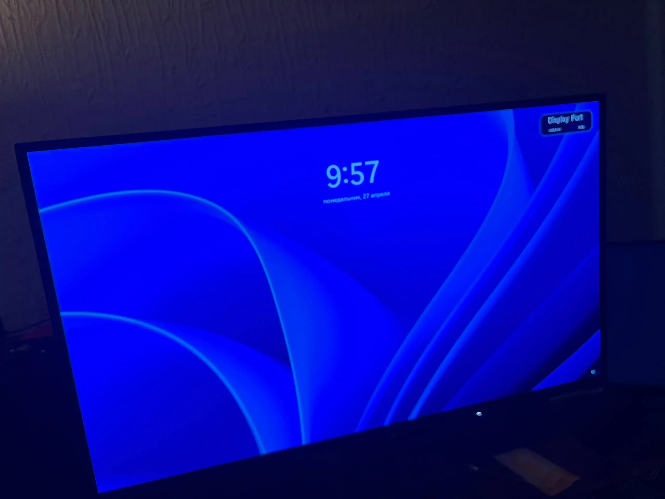Монитор Carrera OLED 240Hz 2k - Мониторы (Электроника) в Казань