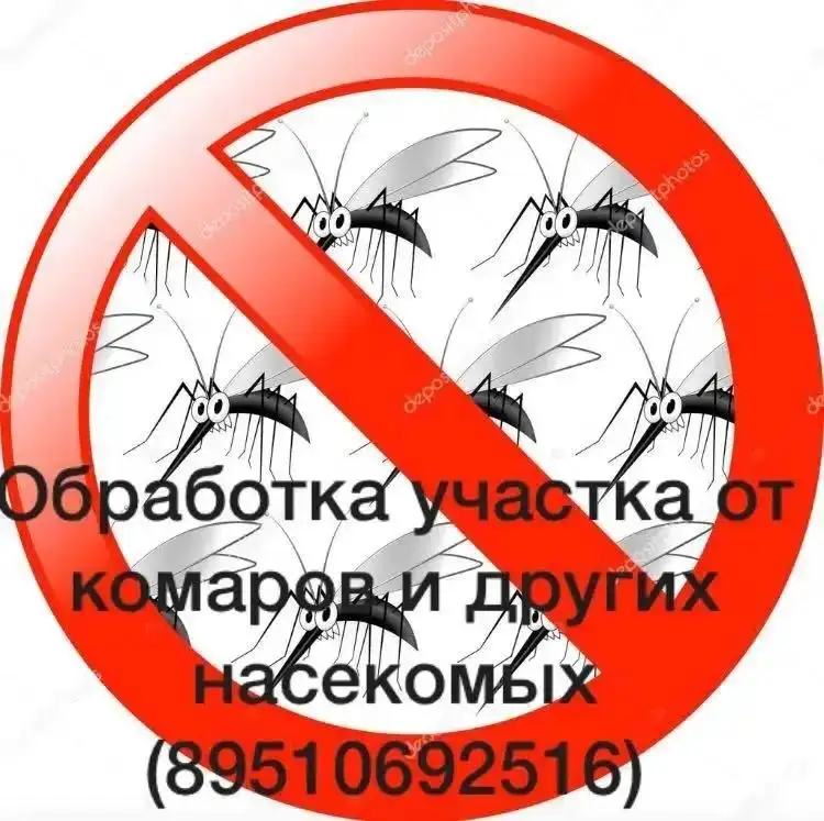 Ищем маму для совместного родительства по-дружески - Услуги в Казань