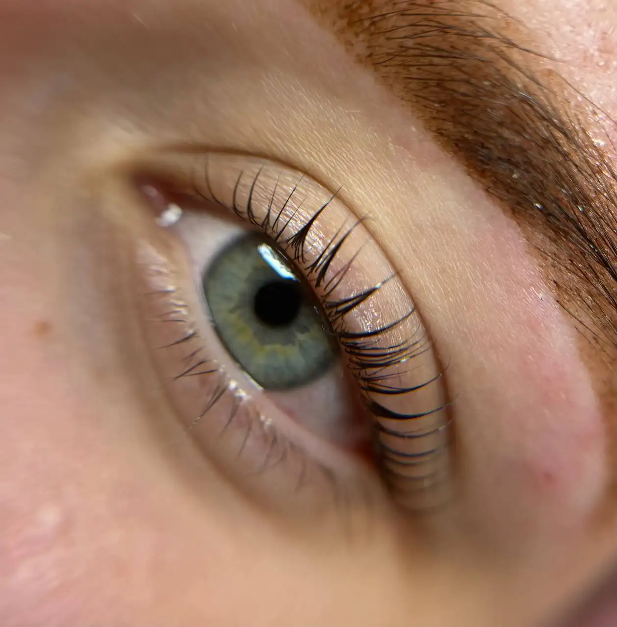 Услуги по наращиванию ресниц и оформлению бровей в Тюмени - Красота и здоровье (Услуги) в Тюмень