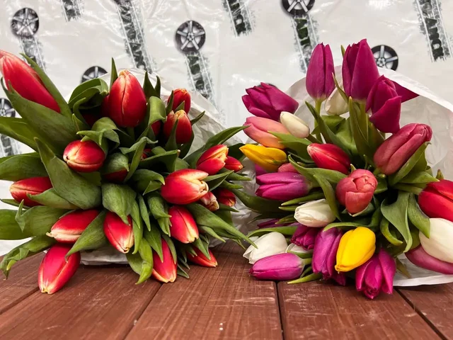 Тюльпаны по 100 рублей - Косметология в Тюмень