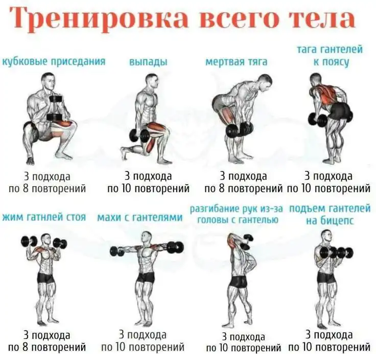 Продам профессиональные разборные гантели V-Sport - Спорт и фитнес (Хобби и отдых) в Волноваха