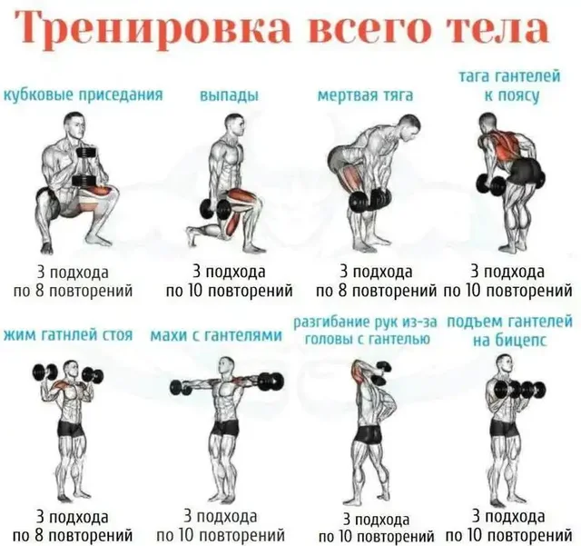 Продам профессиональные разборные гантели V-Sport - Билеты в Волноваха