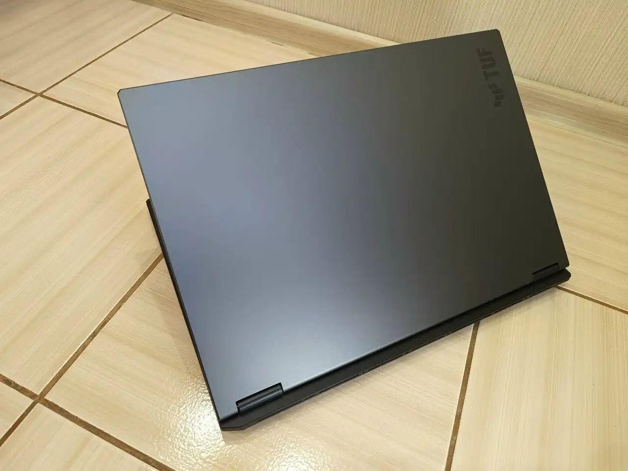 Ноутбук игровой Asus TUF Gaming A18 FA808UM-S8086 - Ноутбуки (Электроника) в Волноваха