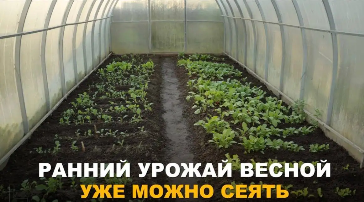 Продажа теплиц и беседок из поликарбоната с доставкой и сборкой - Садовые сооружения (Для дома и дачи) в Волноваха