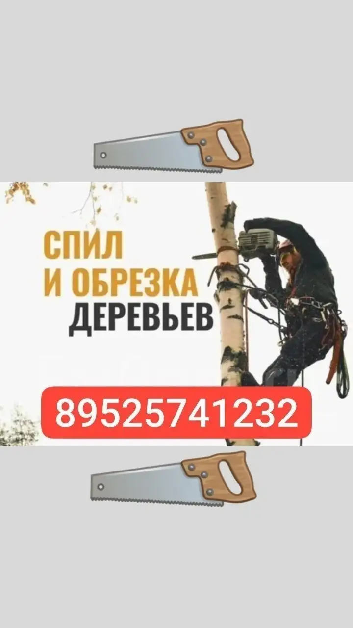 Услуги по спилу деревьев - Бытовые услуги (Услуги) в Волноваха