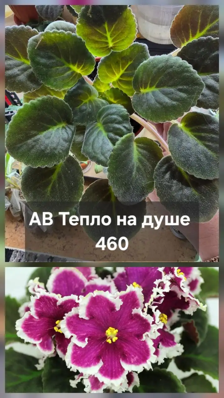 Разное продажа - Барахолка в Донецк